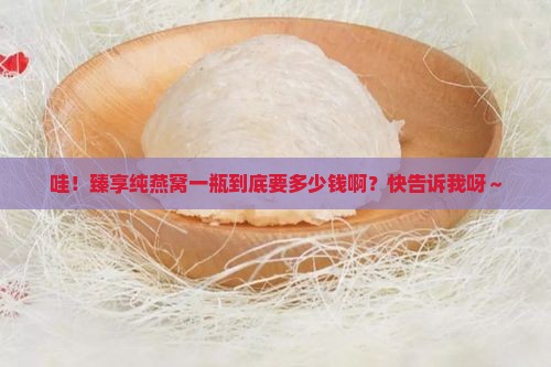 臻享纯燕窝多少钱一瓶啊