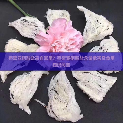 燕窝亚硝酸盐来自哪里