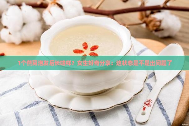 燕窝泡开后是什么样子