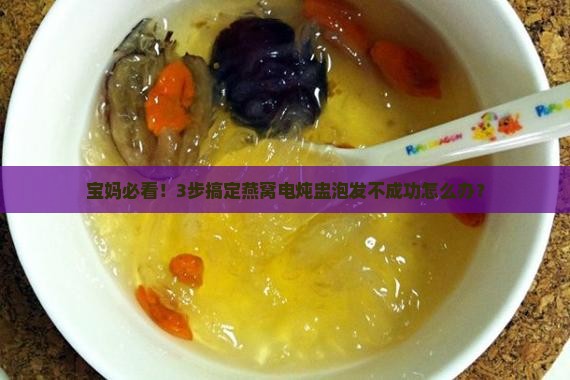燕窝电炖盅怎么泡发好