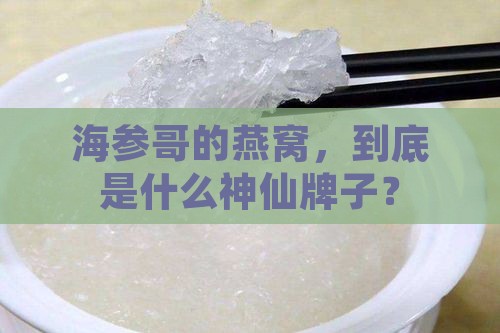 海参哥燕窝是什么牌子