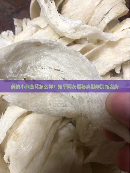 美的小熊燕窝怎么样知乎