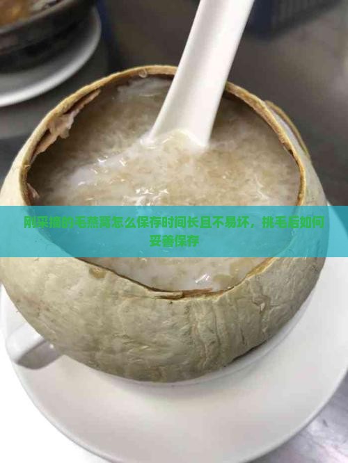 刚采摘的毛燕窝怎么保存