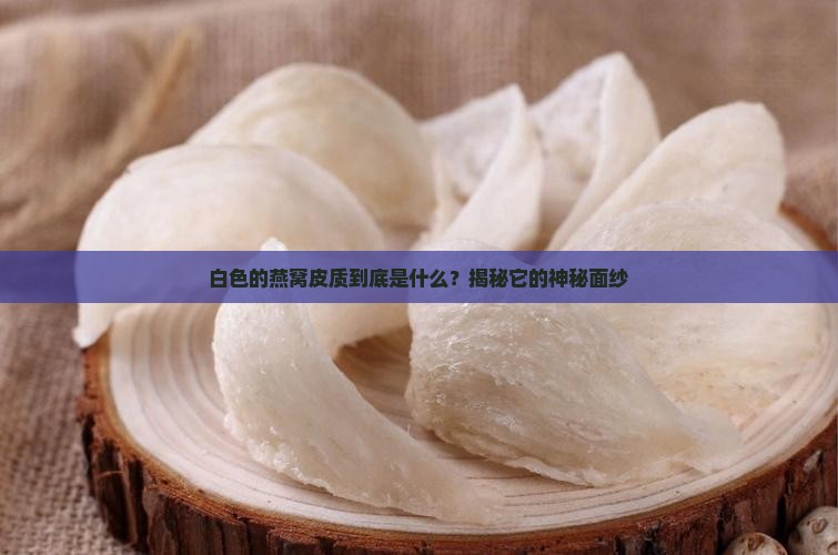 什么是白色的燕窝皮质