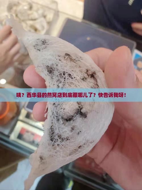 西华县卖燕窝店在哪里