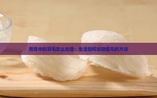摘燕窝中的羽毛怎么处理
