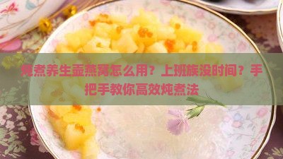 炖煮养生壶燕窝怎么用