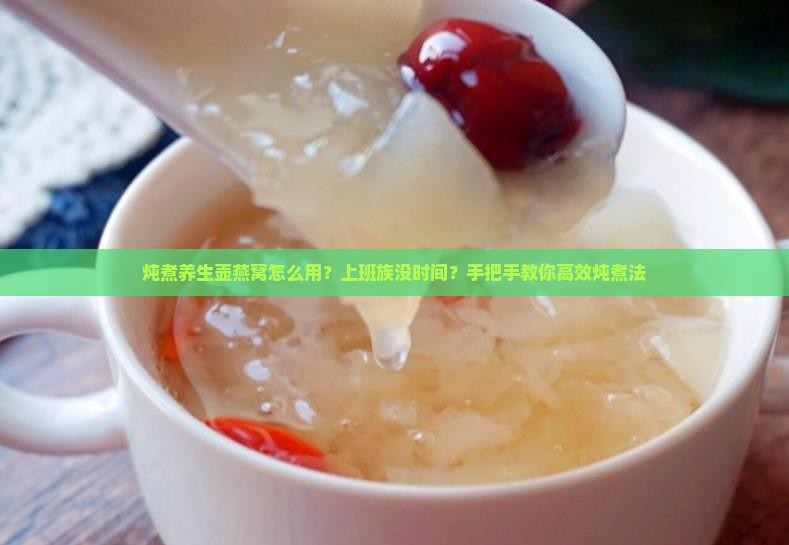 炖煮养生壶燕窝怎么用