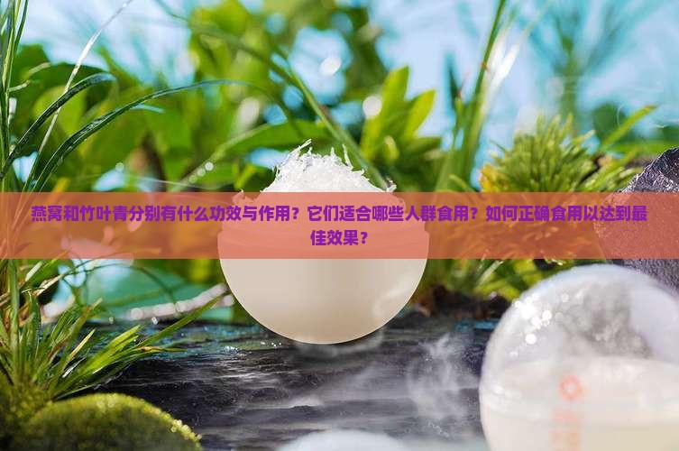 燕窝与竹叶青有什么用