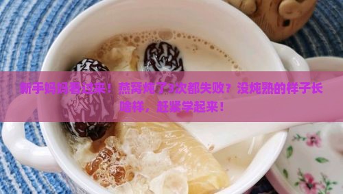 燕窝没炖熟什么样子的