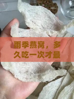 雨季燕窝多久做一次最好