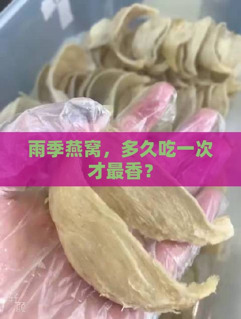 雨季燕窝多久做一次最好