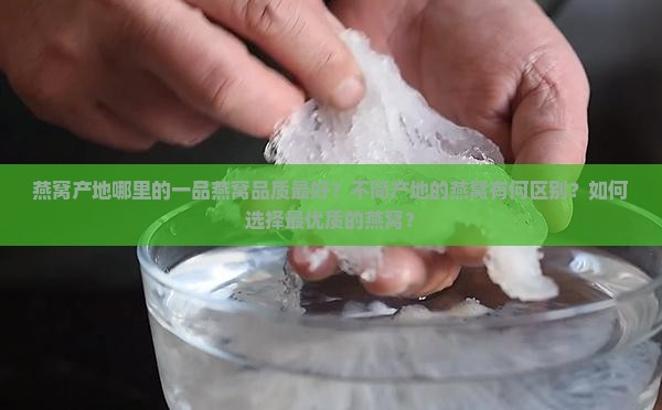 一品燕窝产地哪里的最好
