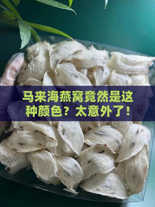 马来海燕窝是什么颜色