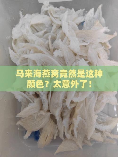 马来海燕窝是什么颜色