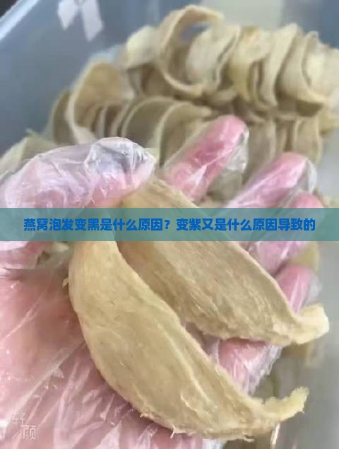 燕窝泡发变黑是什么原因