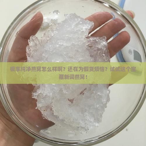 极享纯净燕窝怎么样啊