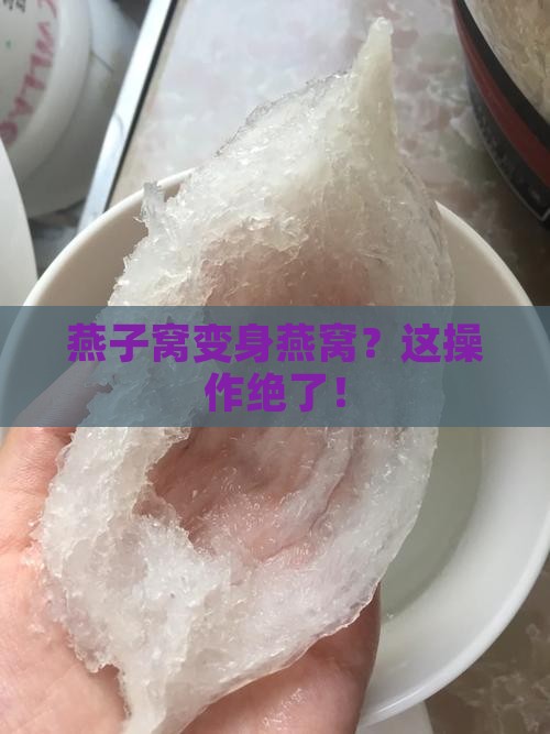 燕子的窝怎么做成燕窝