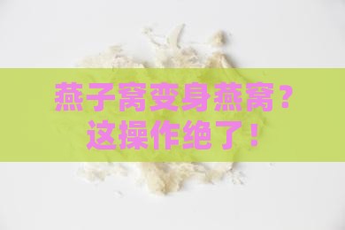 燕子的窝怎么做成燕窝