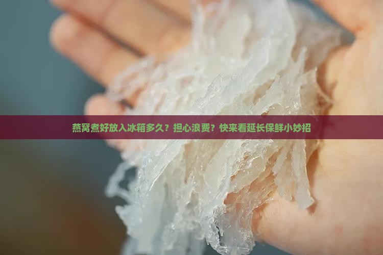 燕窝煮好放入冰箱多久