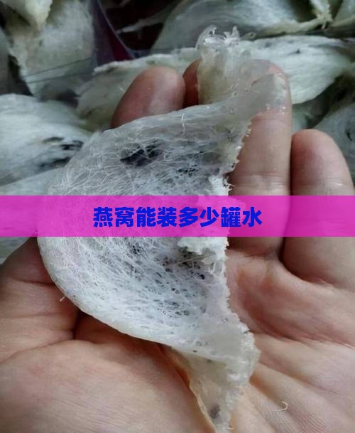 一个燕窝能装多少罐水