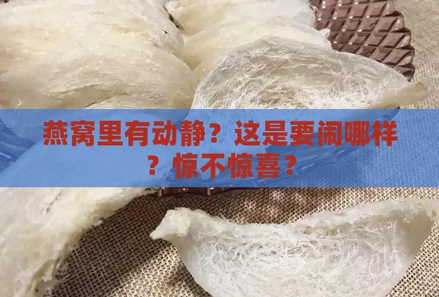 燕窝里面有动静怎么办