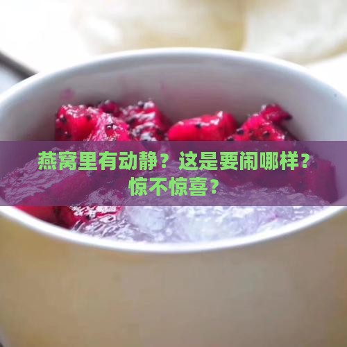 燕窝里面有动静怎么办