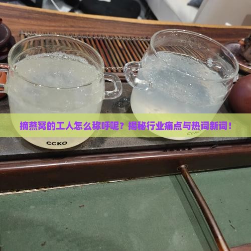摘燕窝的工人怎么称呼呢