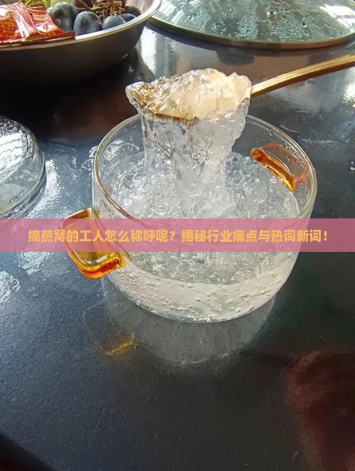 摘燕窝的工人怎么称呼呢