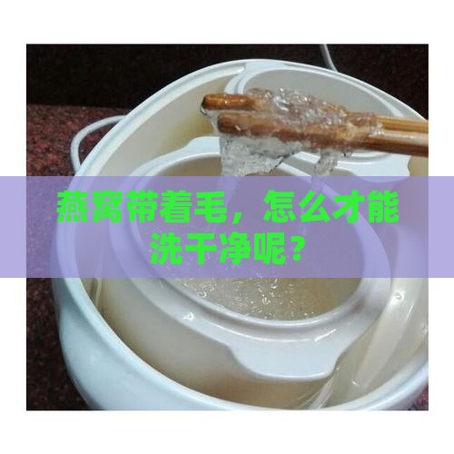 燕窝带毛怎么清洗才干净
