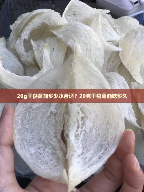 20g干燕窝加多少水
