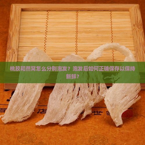 桃胶怎么泡发燕窝保存