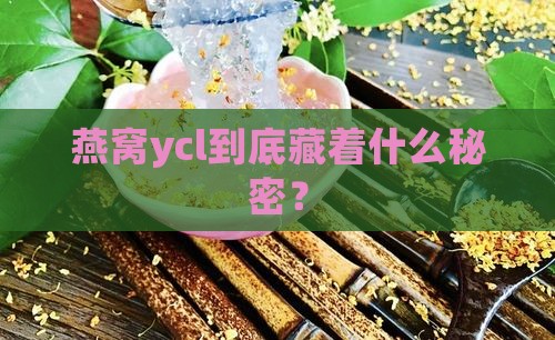 燕窝ycl是什么意思