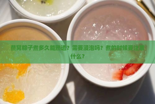 燕窝粽子煮多久能熟透啊