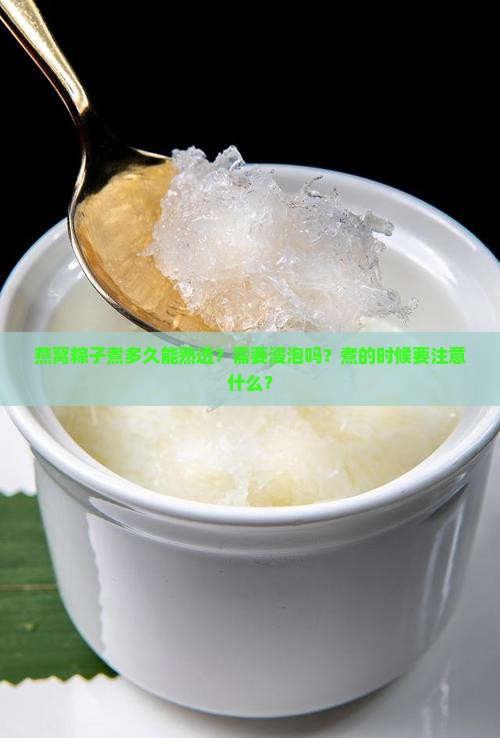 燕窝粽子煮多久能熟透啊