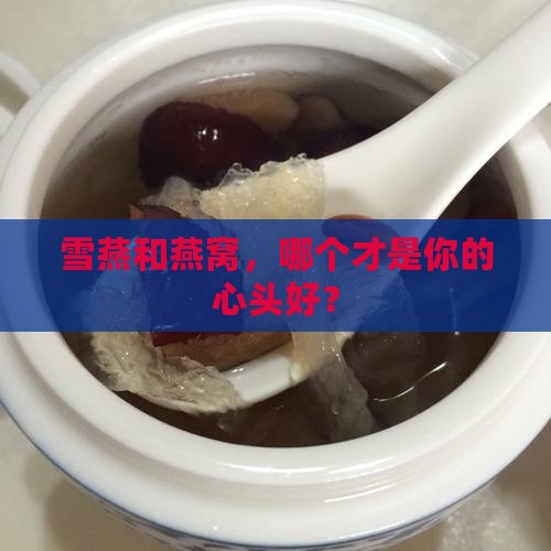 雪燕跟燕窝哪个好一些