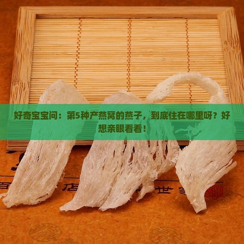 产燕窝的燕子在什么地方