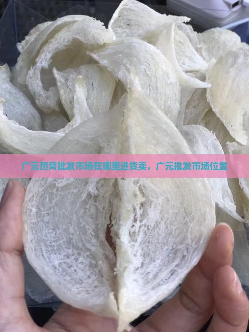 广元燕窝批发市场在哪里