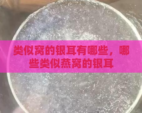 类似燕窝的银耳有哪些
