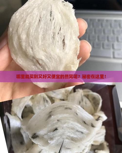 燕窝哪里买好一点又便宜