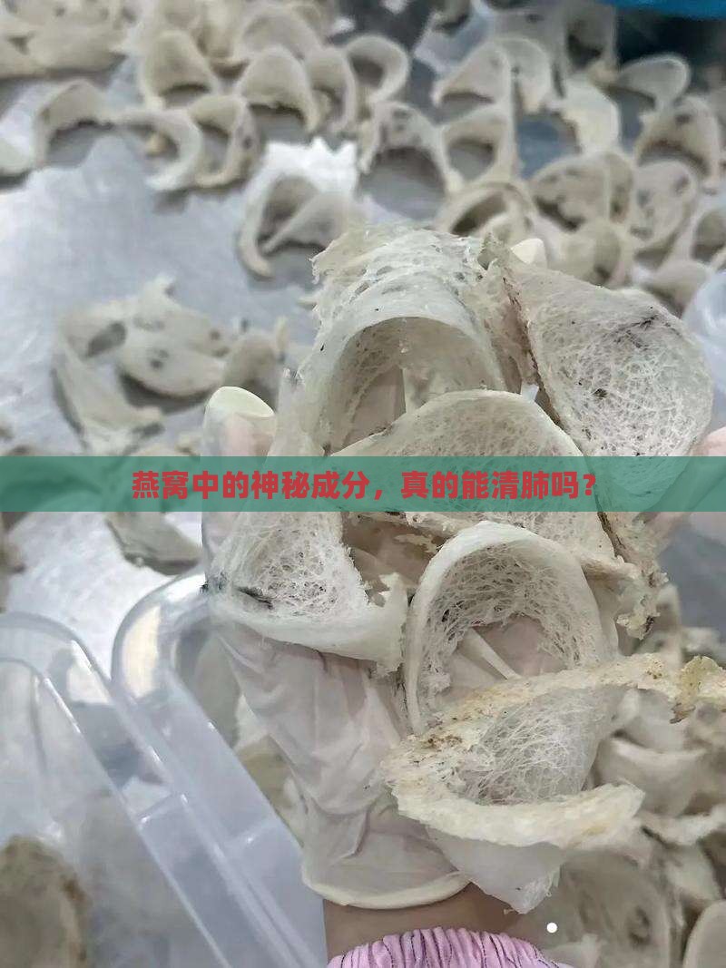燕窝里的什么有清肺功效