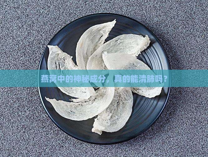 燕窝里的什么有清肺功效