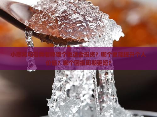 小燕窝和街舞老师哪个好