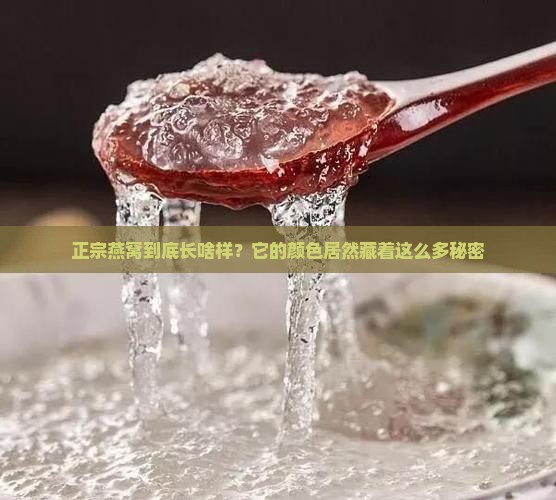 正宗燕窝是什么颜色的