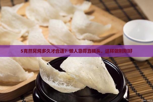 炖燕窝5克需要多久时间