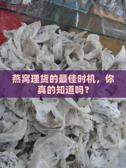 燕窝什么时候开始理货好