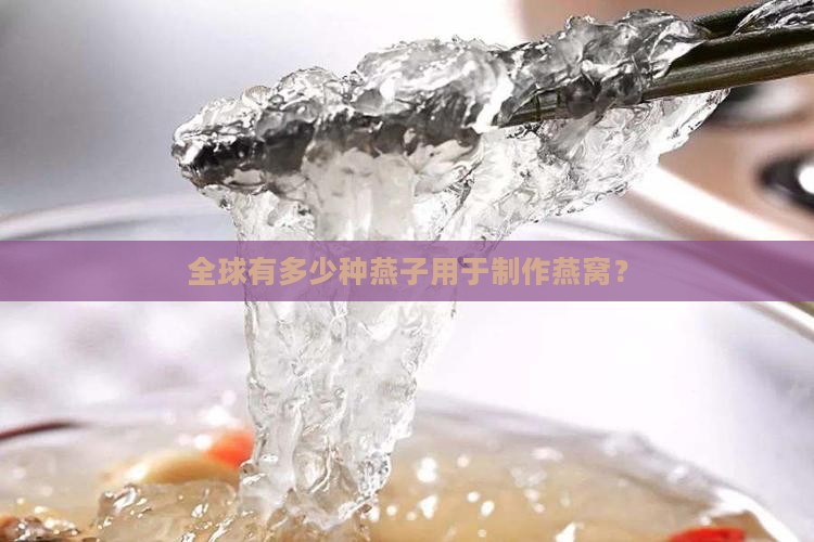 全球多少种燕子做燕窝了