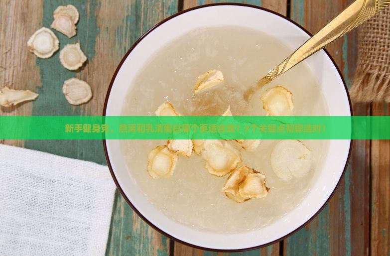 燕窝与乳清蛋白哪个好
