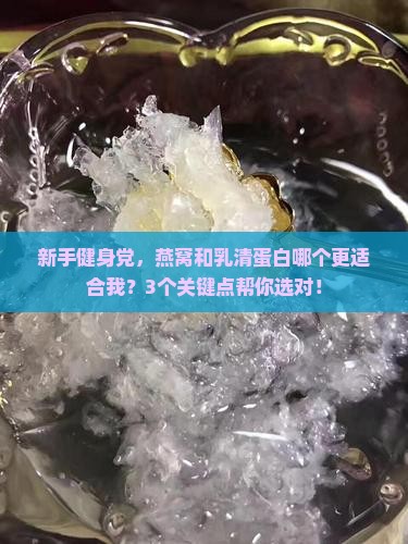 燕窝与乳清蛋白哪个好