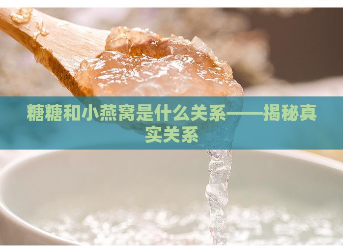 糖糖和小燕窝是什么关系